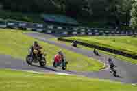 cadwell-no-limits-trackday;cadwell-park;cadwell-park-photographs;cadwell-trackday-photographs;enduro-digital-images;event-digital-images;eventdigitalimages;no-limits-trackdays;peter-wileman-photography;racing-digital-images;trackday-digital-images;trackday-photos